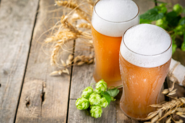 Beer and ingredients hops, wheat, barley - Devon breweries